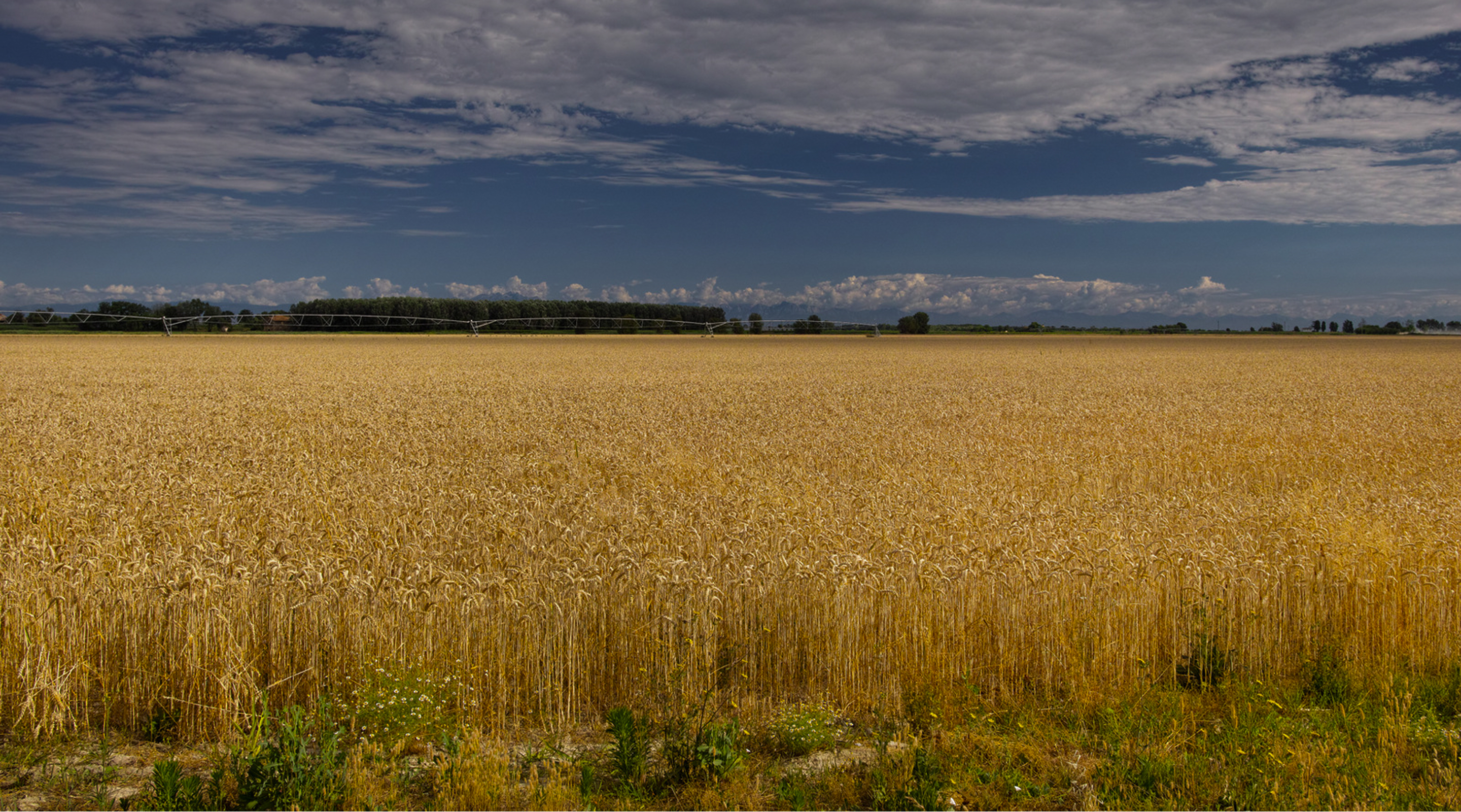 1851 Passione Agricola